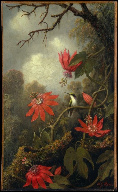 蜂鸟和西番莲 作者 Martin Johnson Heade